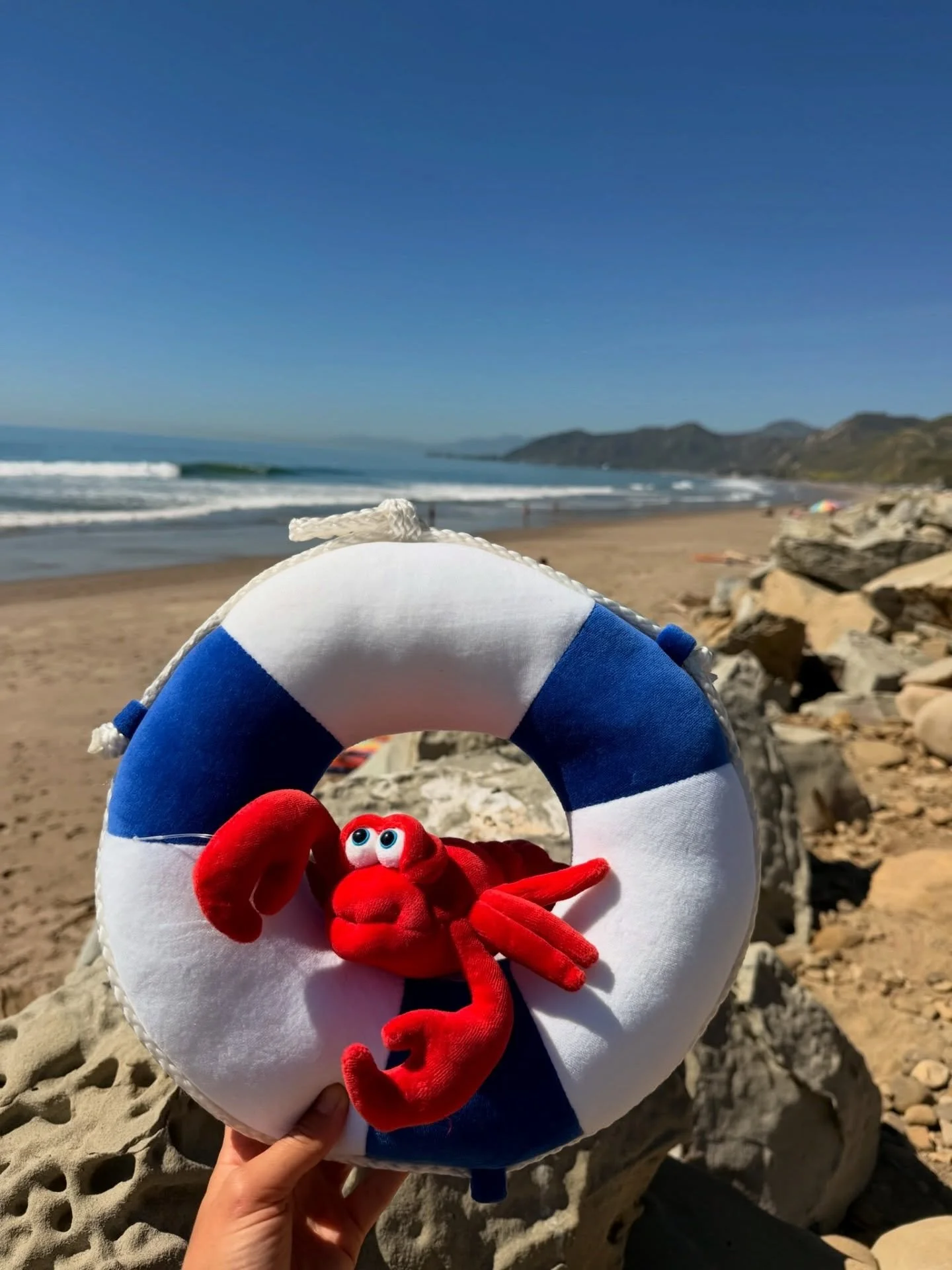 Staying afloat during this heat wave with our little lobster pal 🦞

Today is the LAST day to use SPRING30 for 30% off your order! We&rsquo;re moving spaces, and we&rsquo;re excited for your Funny Friends to make their way to their new homes too 💕