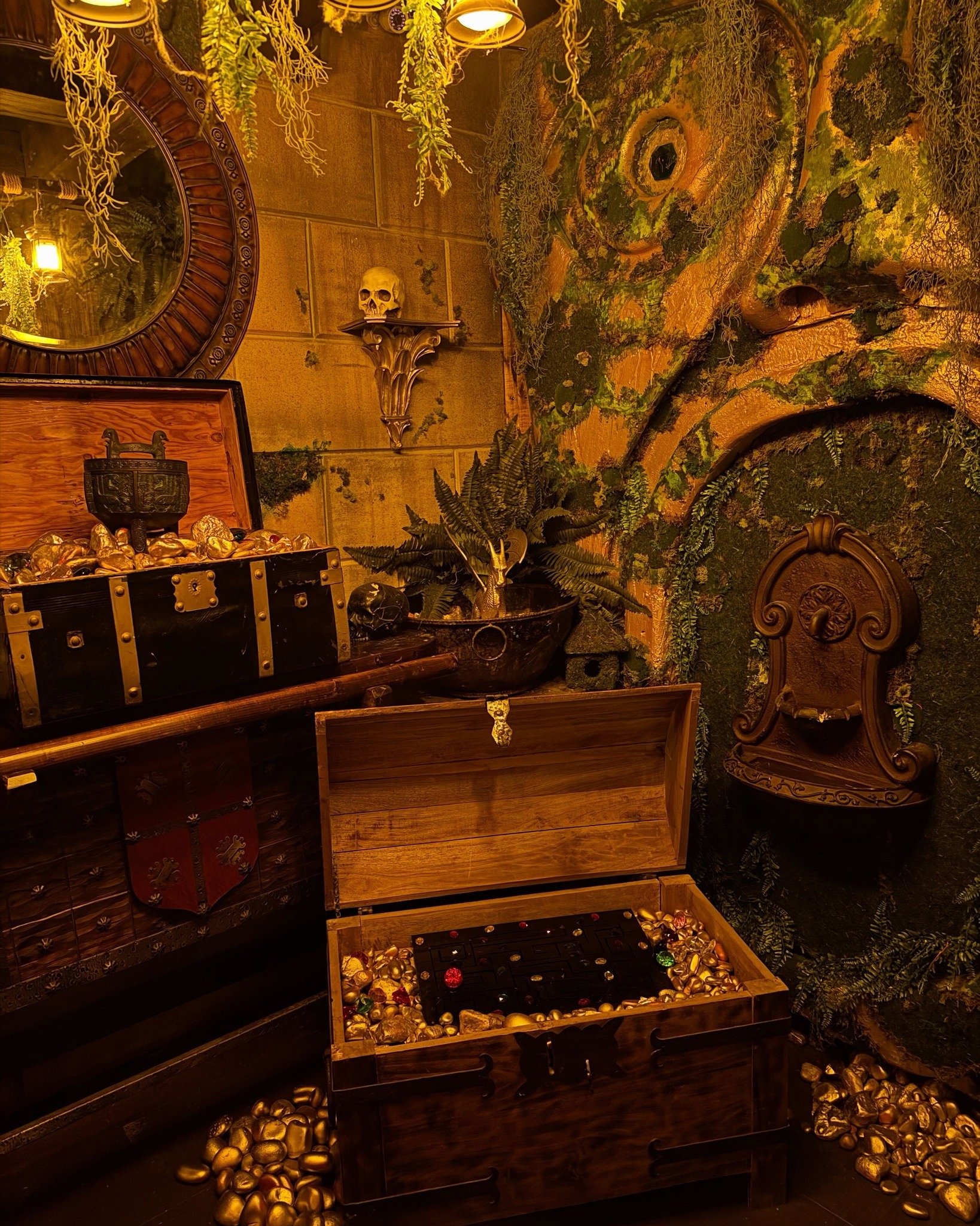 dk vault website pic.jpg