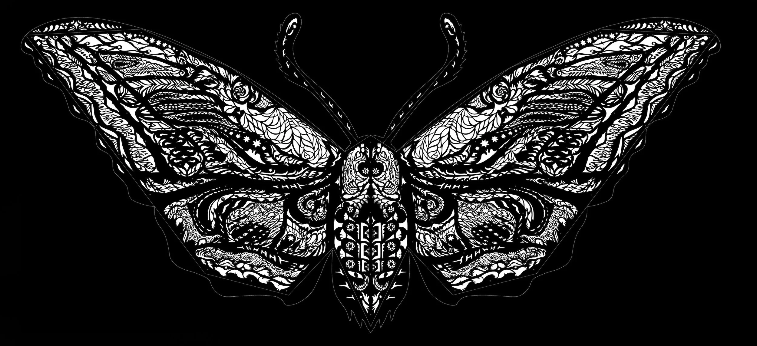 Moth.jpg
