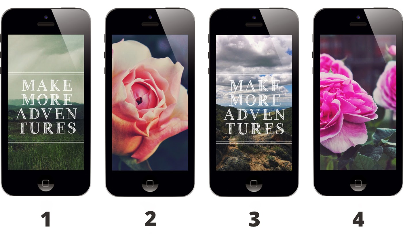 MAKE+MORE+ADVENTURES+AND+ROSES.jpg