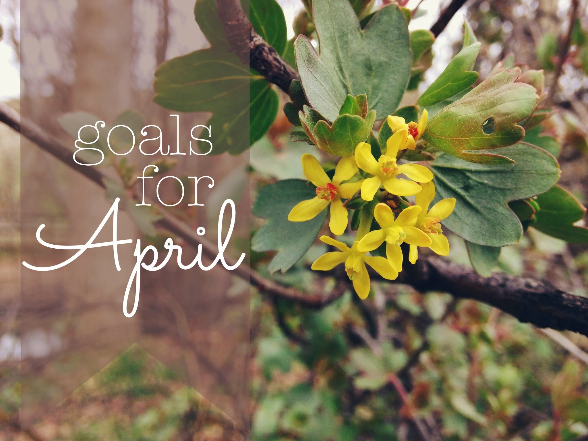april.jpg