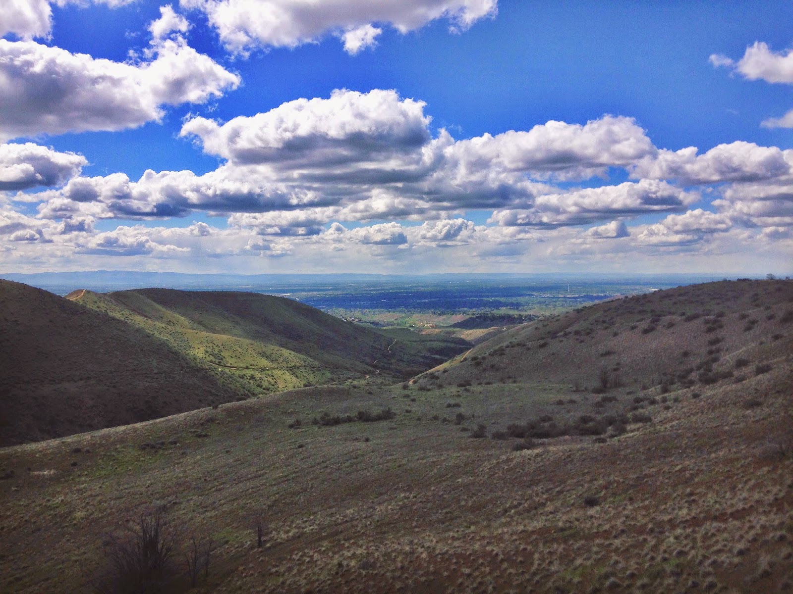 view+of+treasure+valley.jpeg