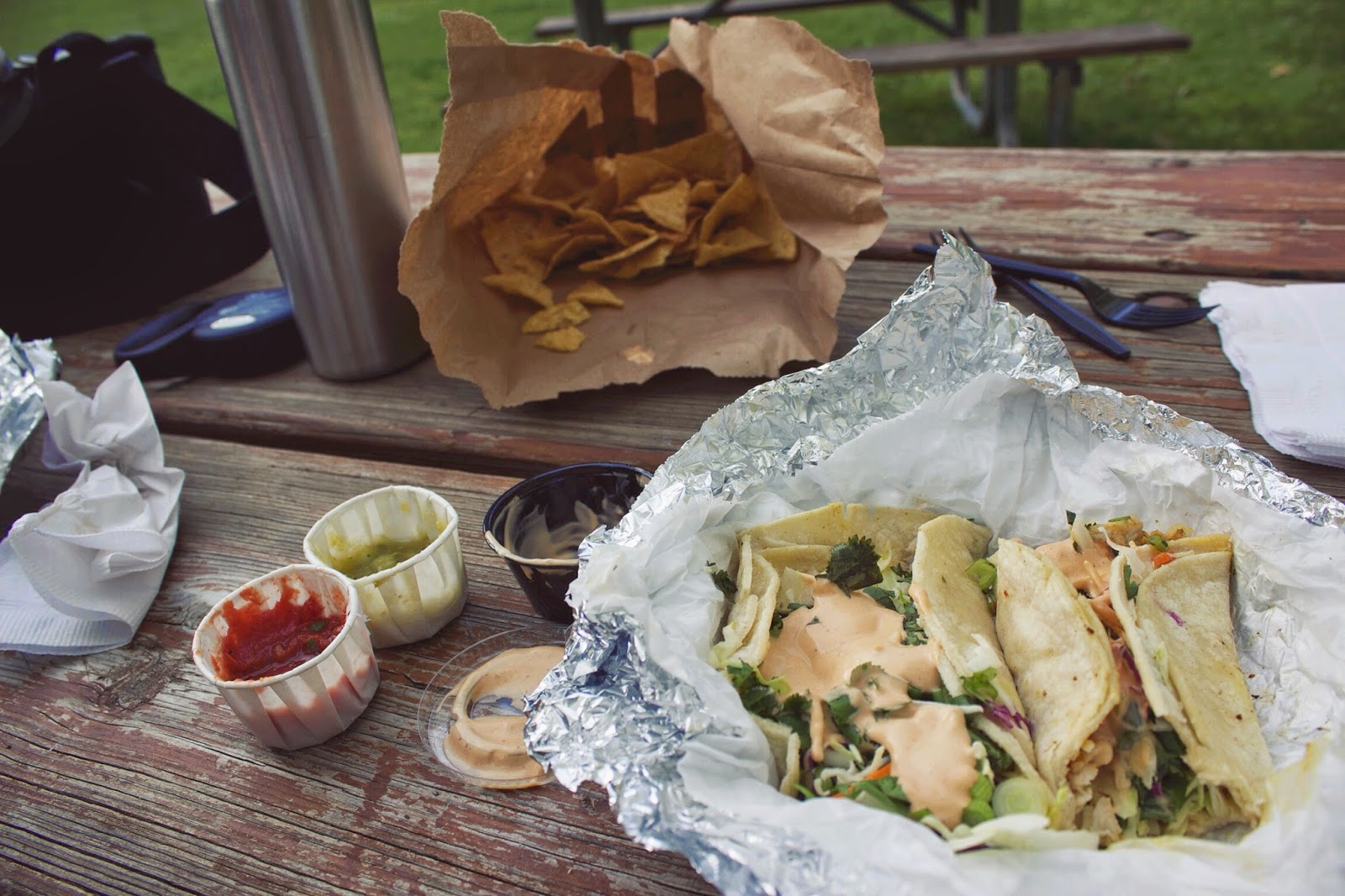 taco+picnic.jpg