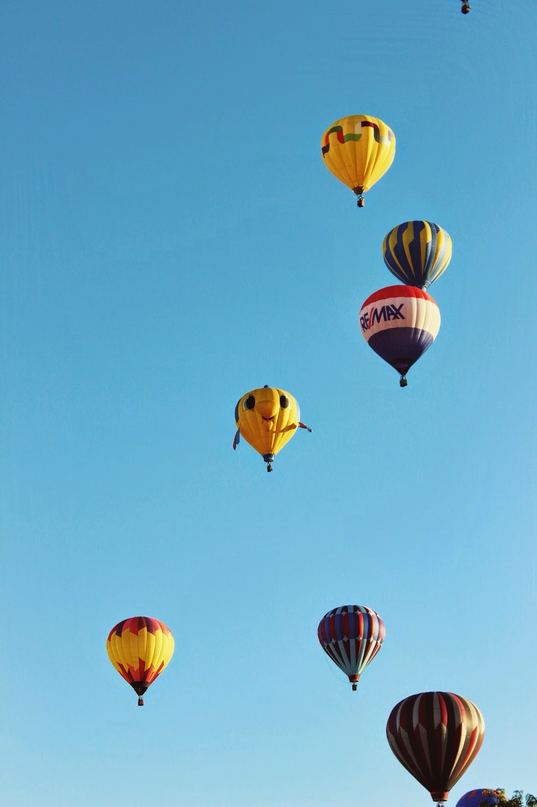 spirit%2Bof%2Bboise%2Bballoon%2Bclassic%2B2014.jpg