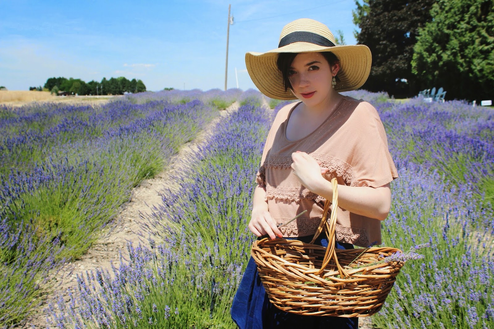 sweet+lavender.jpg
