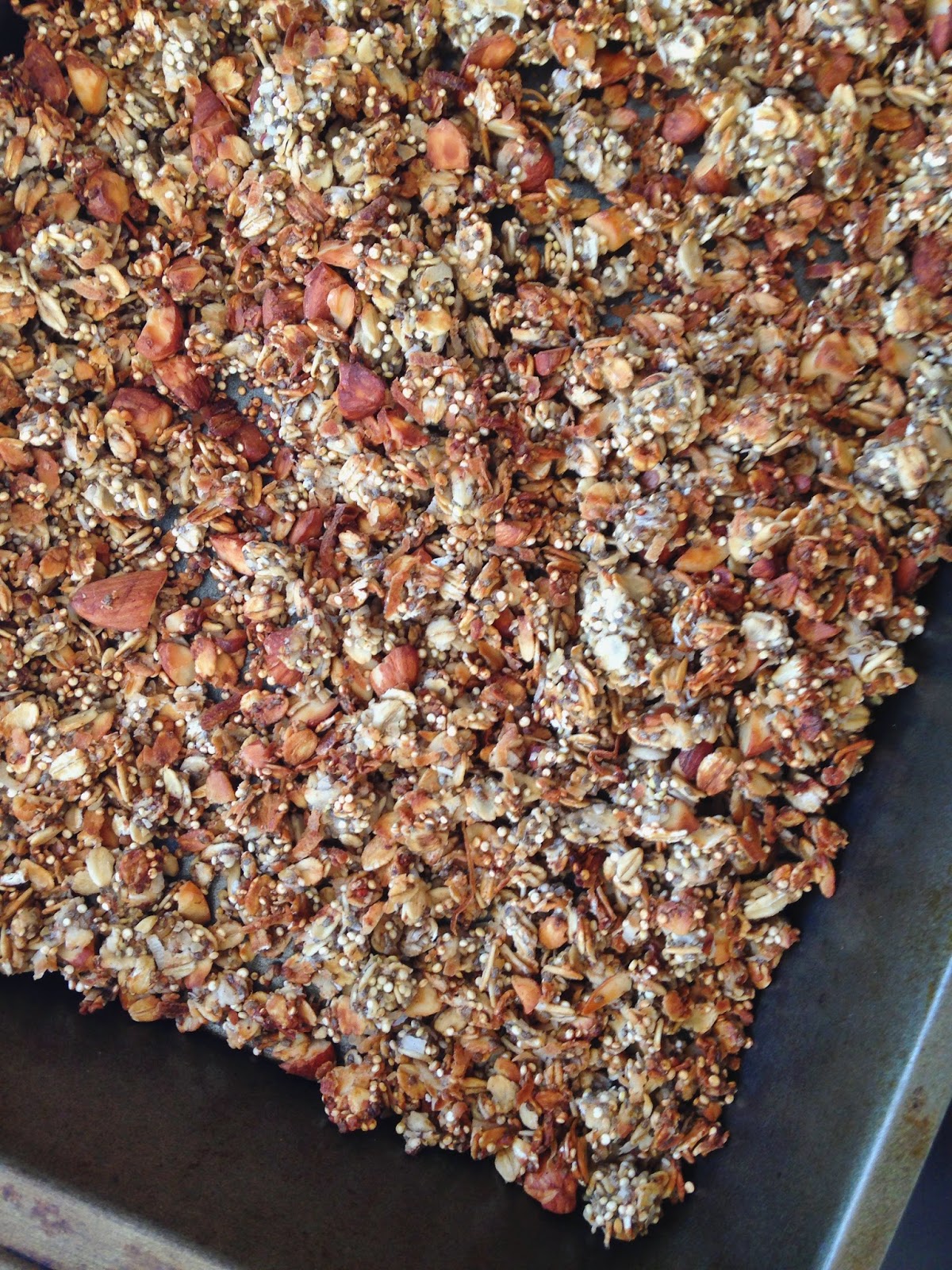 toasted+granola%253Acereal.jpeg