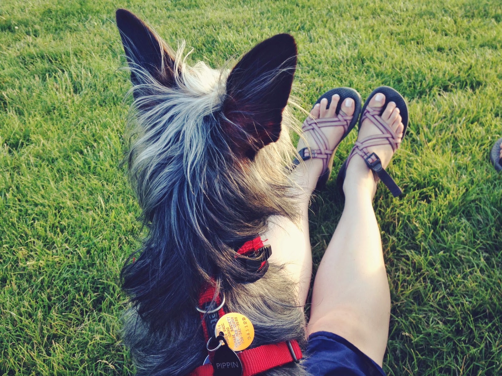 park+sits.jpg