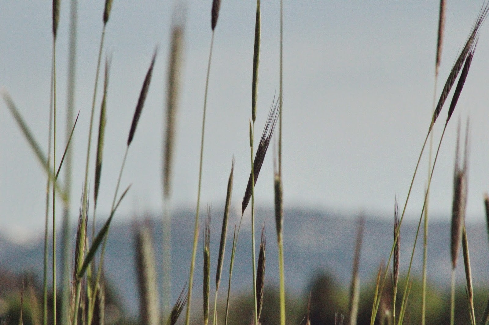 mountians+beyond.png