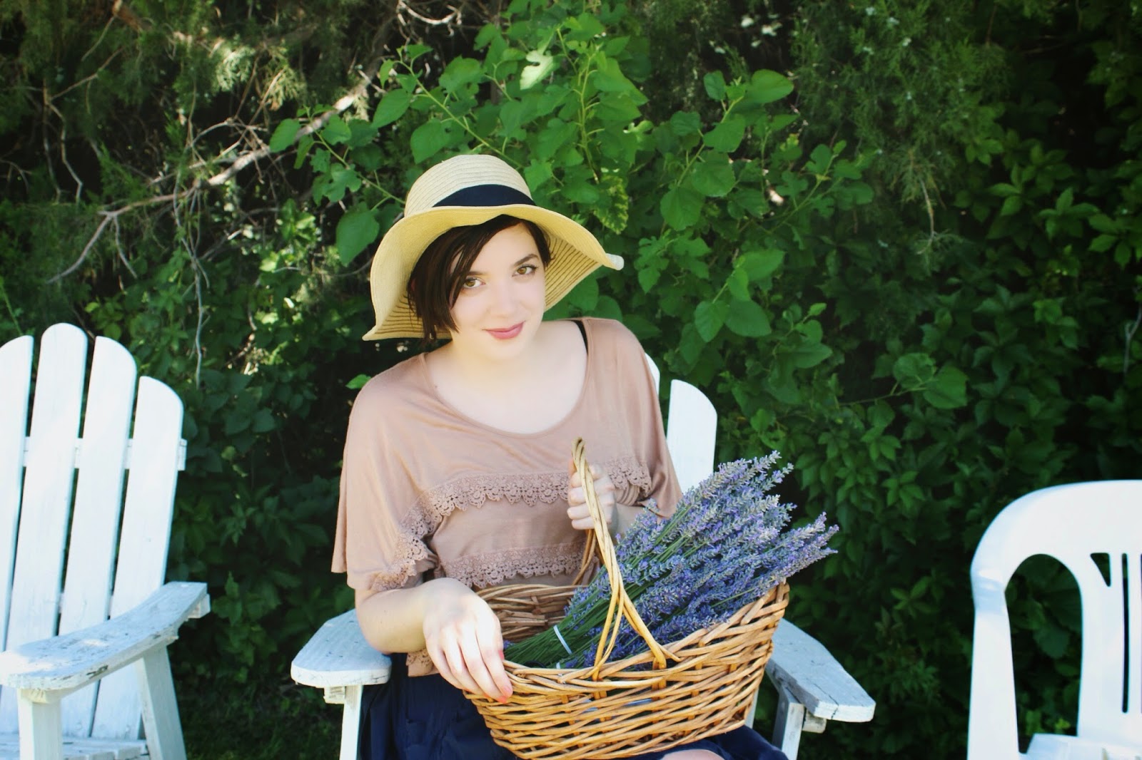 my+harvest.jpg