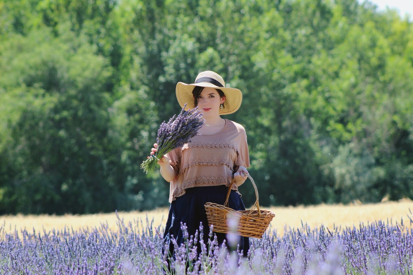 lavender+fields.jpg