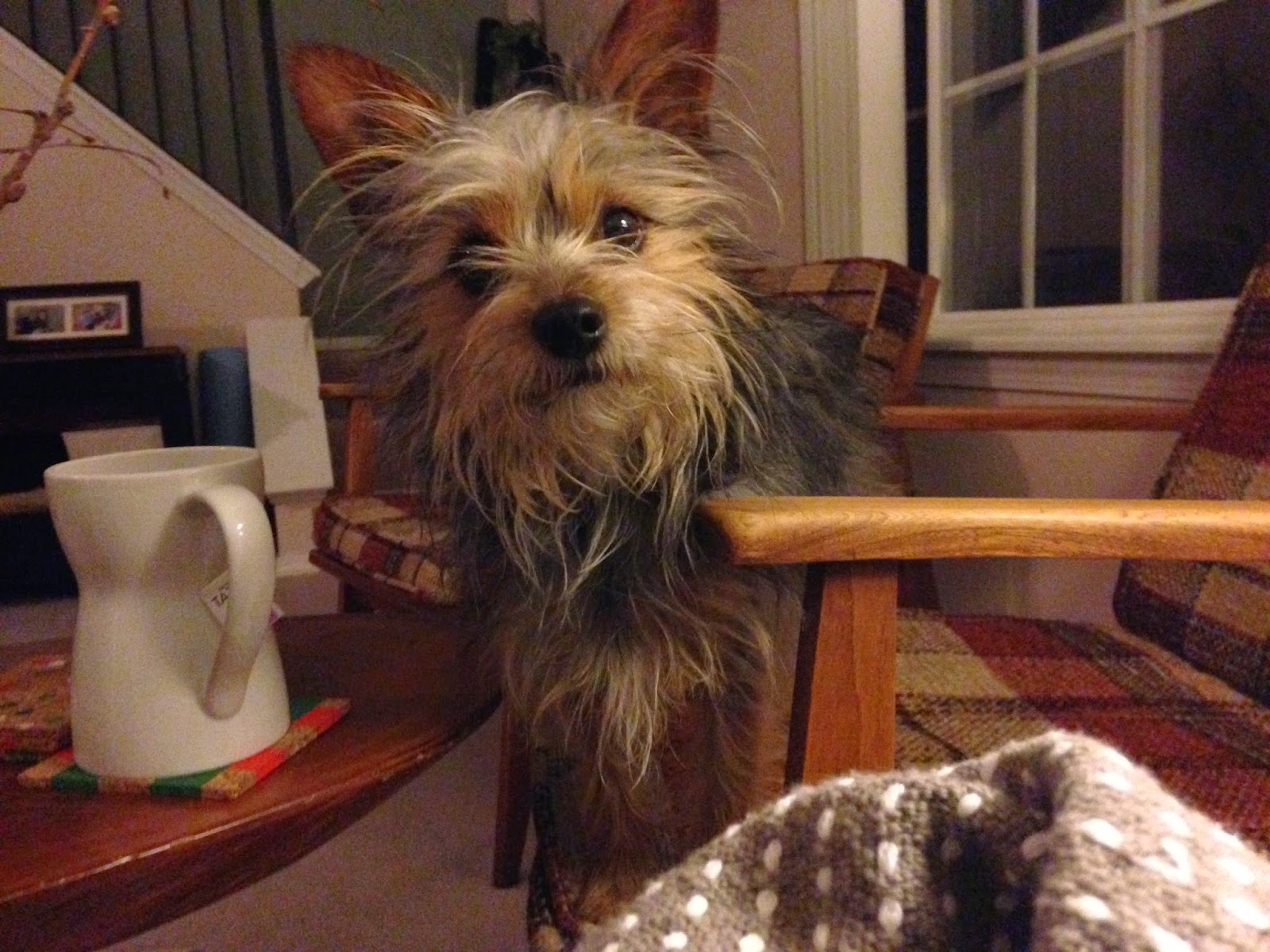 rain+pip+2.jpg