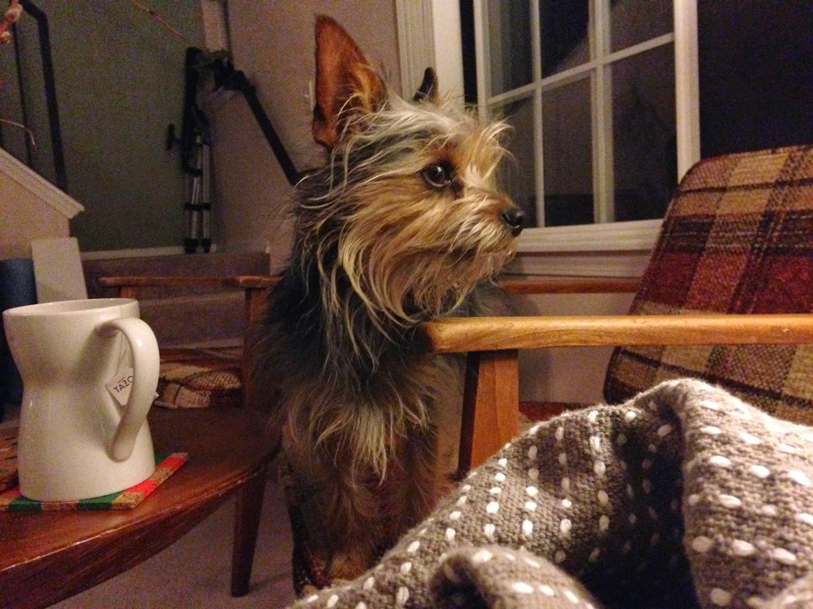 rain+pip+3.jpg