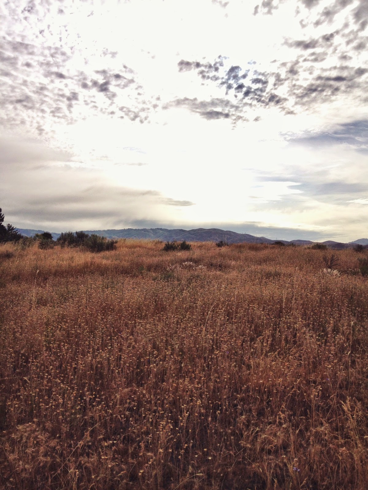 cloudy+boise+sunrise.jpg