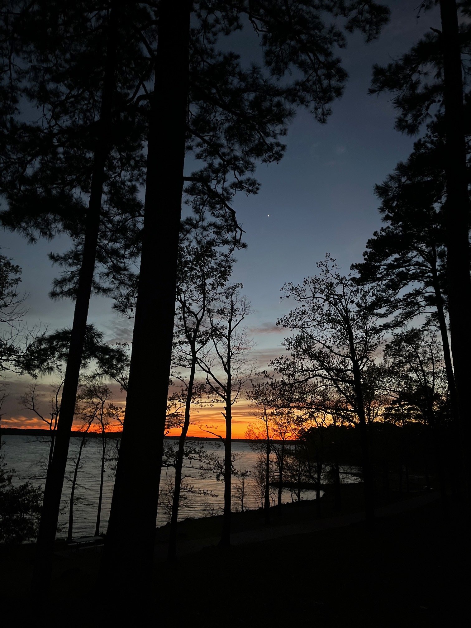  Lake O’ The Pines, Texas 