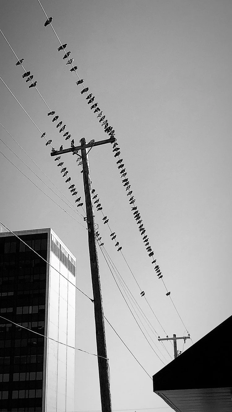 C8A68B5F-EE37-434D-87A9-00D213D0B313.JPG