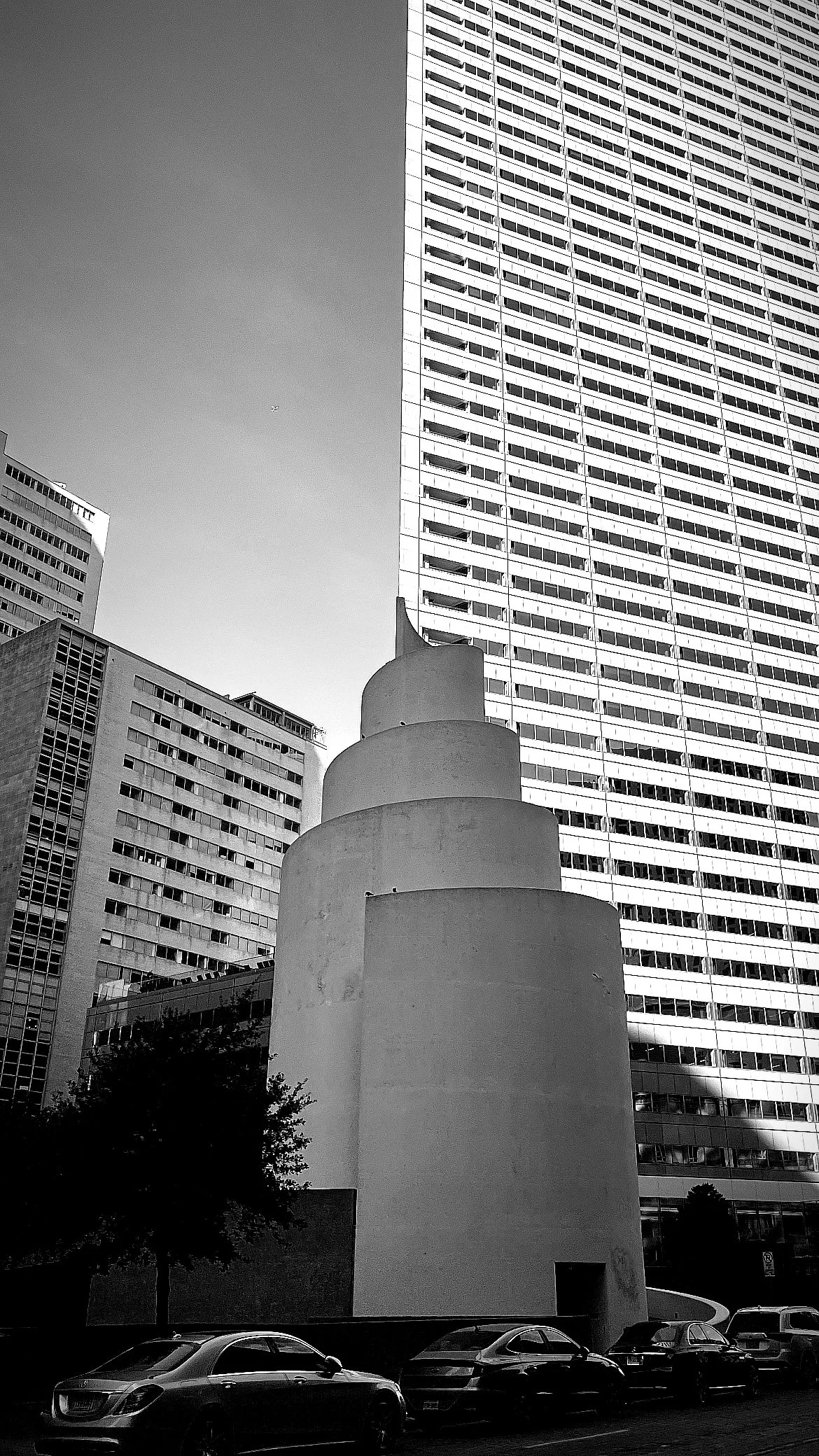 9A7876B4-C232-4455-9C27-378025F77F58.JPG