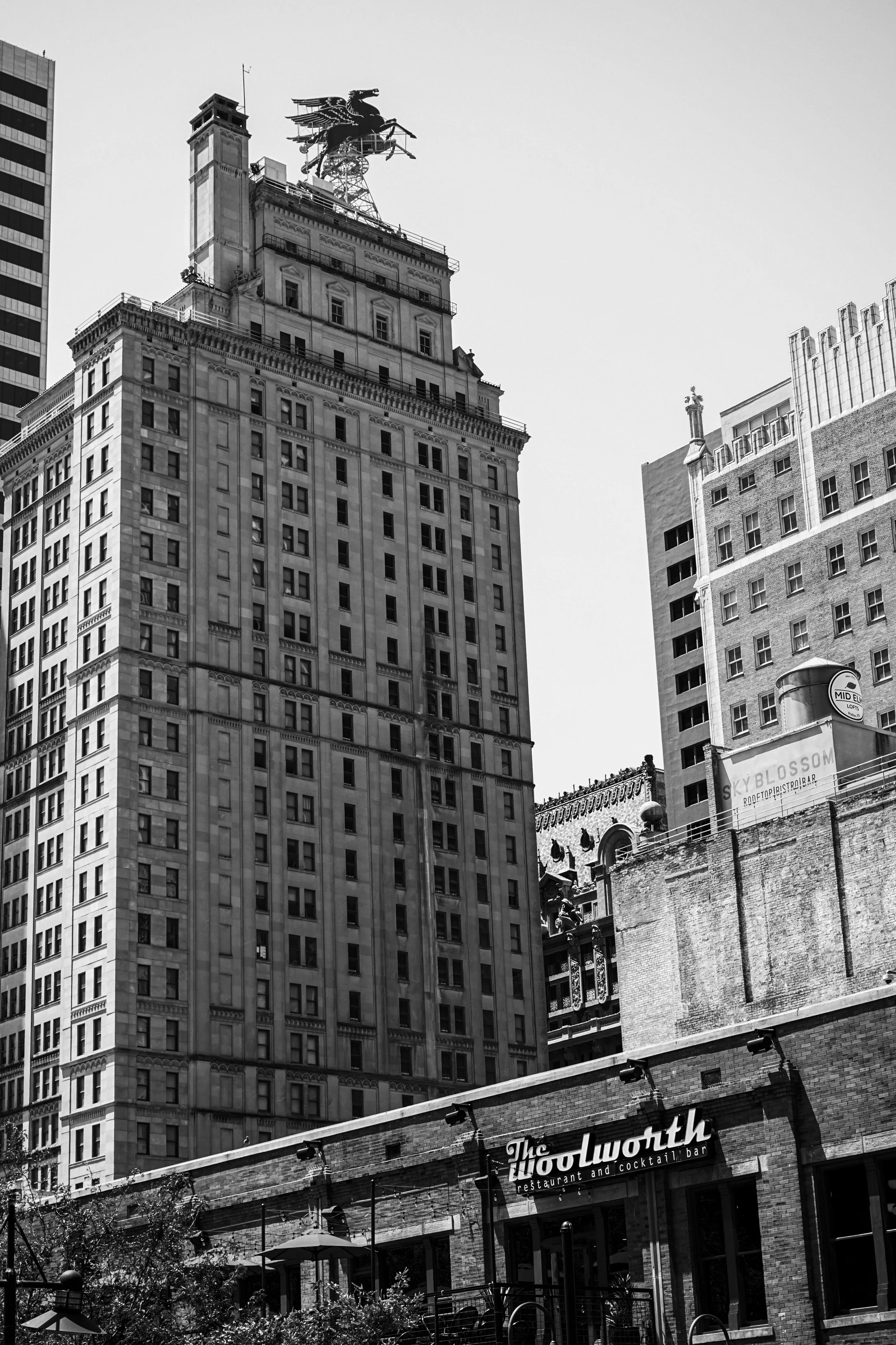 8-7-2026-Downtown-Dallas-JSG-14.JPG