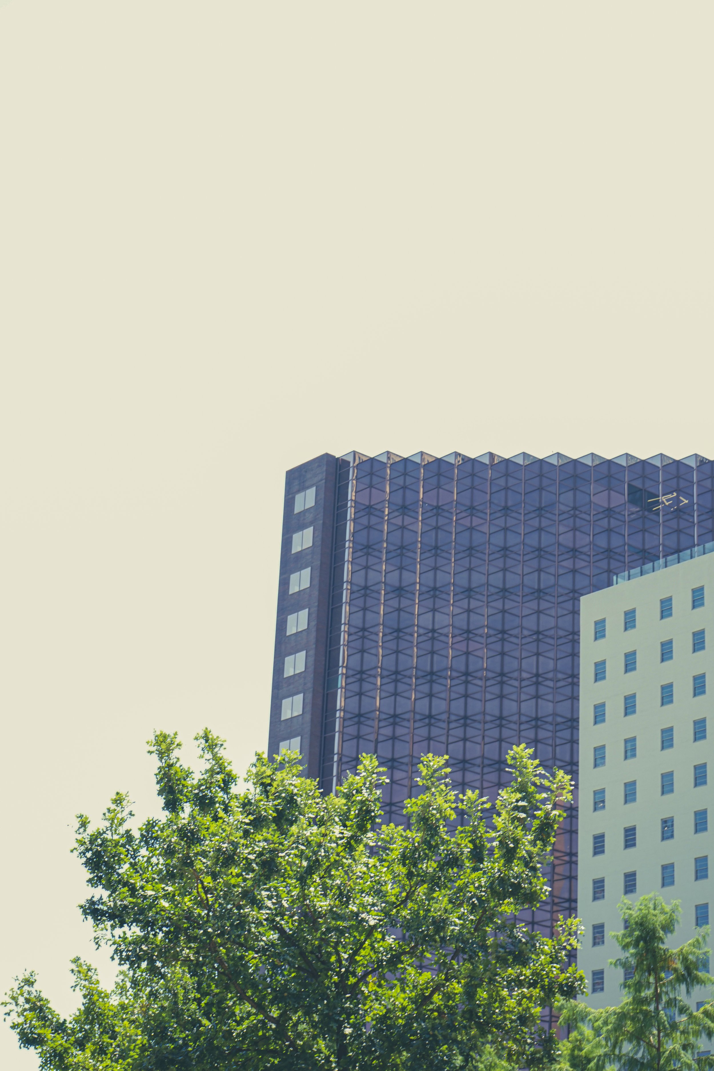 8-7-2026-Downtown-Dallas-JSG-16.JPG