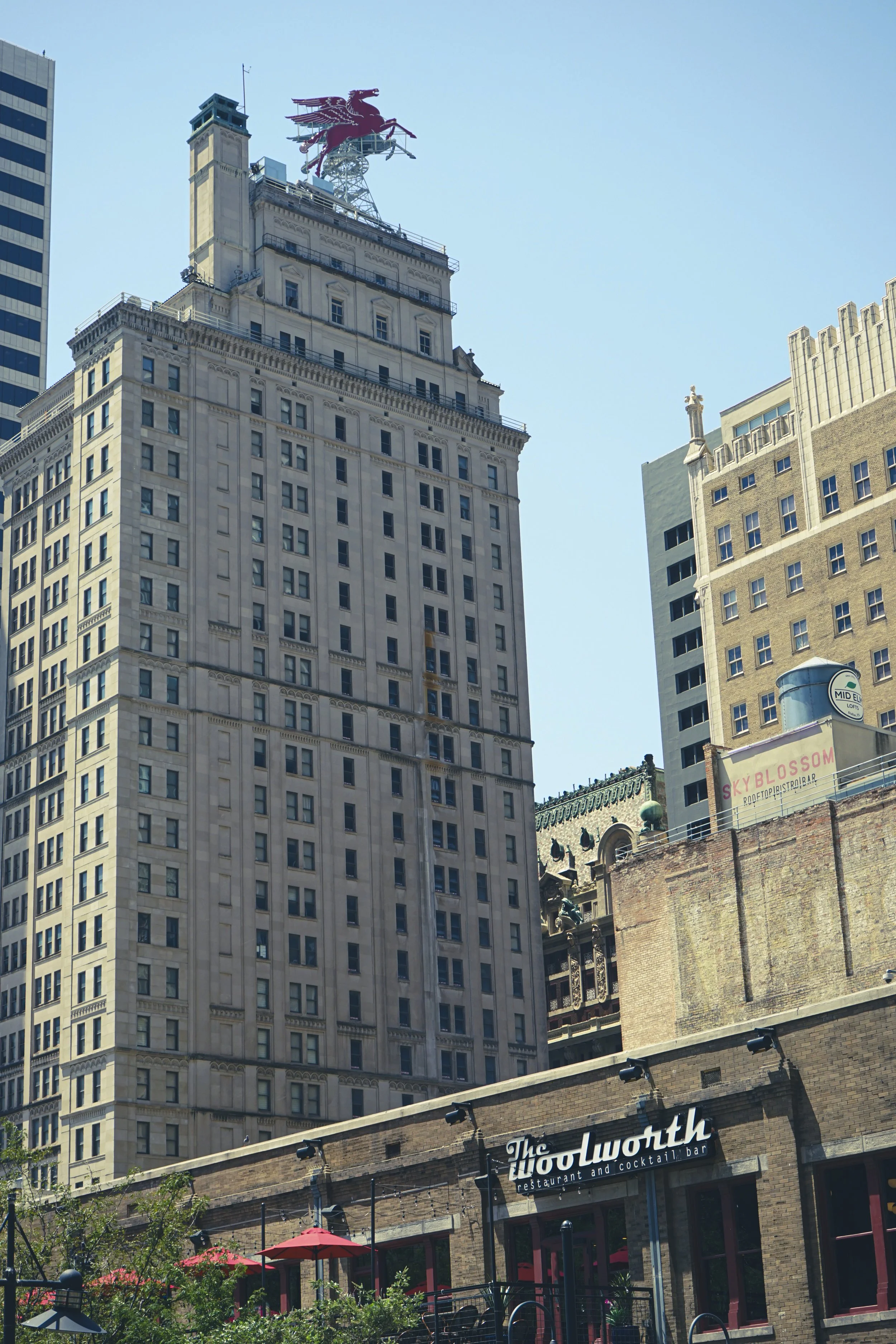 8-7-2026-Downtown-Dallas-JSG-30.JPG