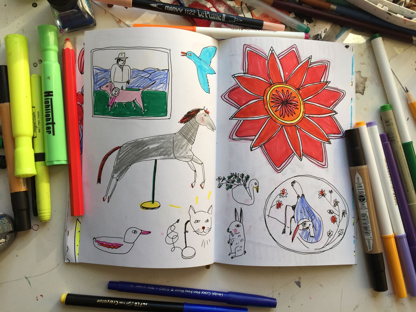 miss pixies coloring book