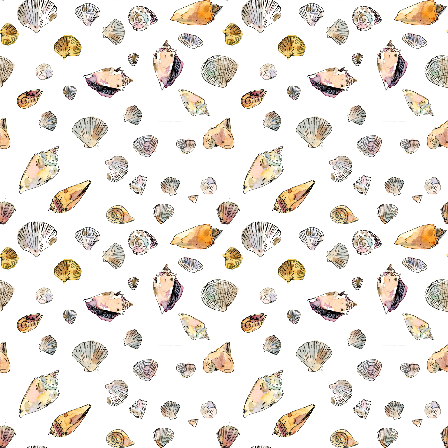Shell Pattern