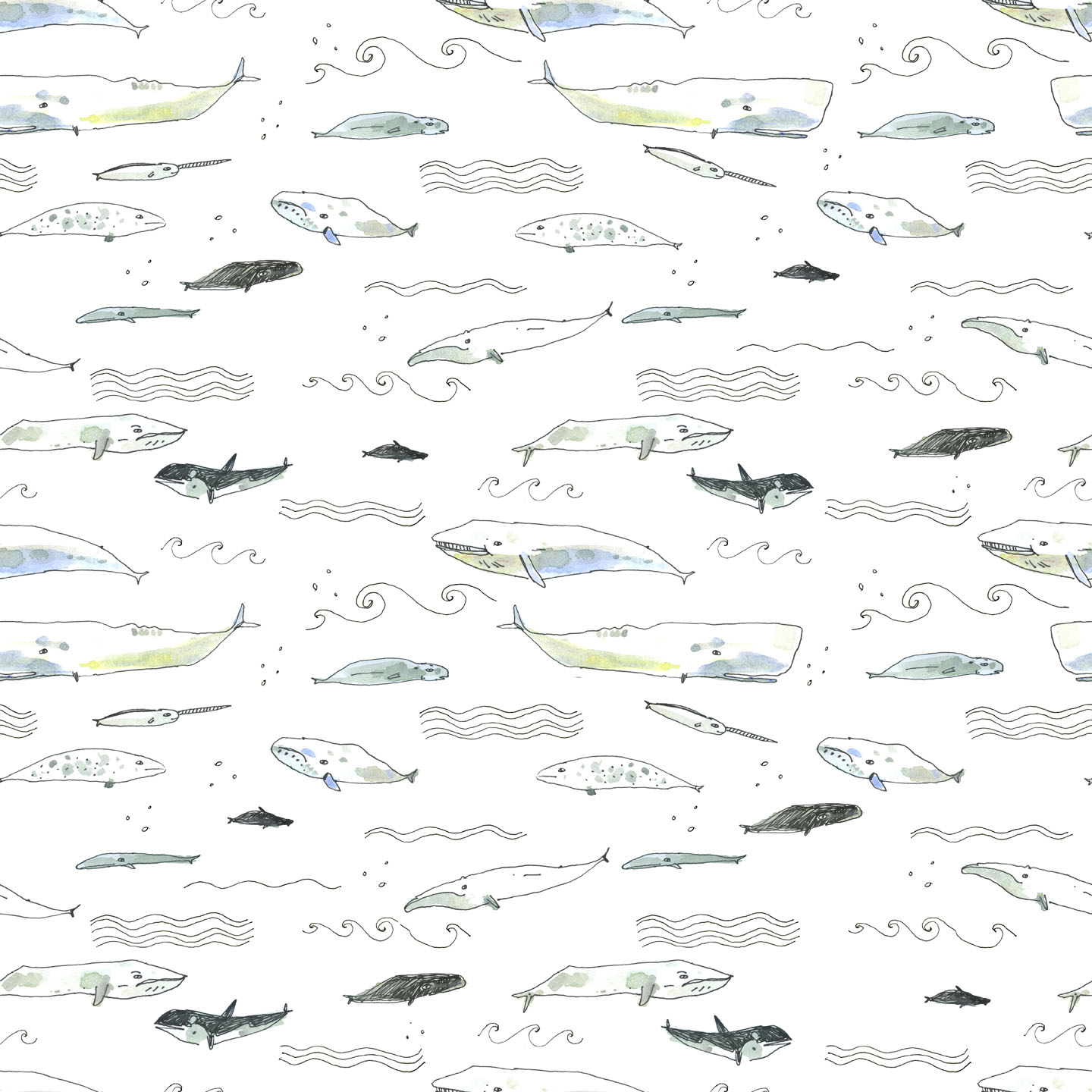 Whale Pattern