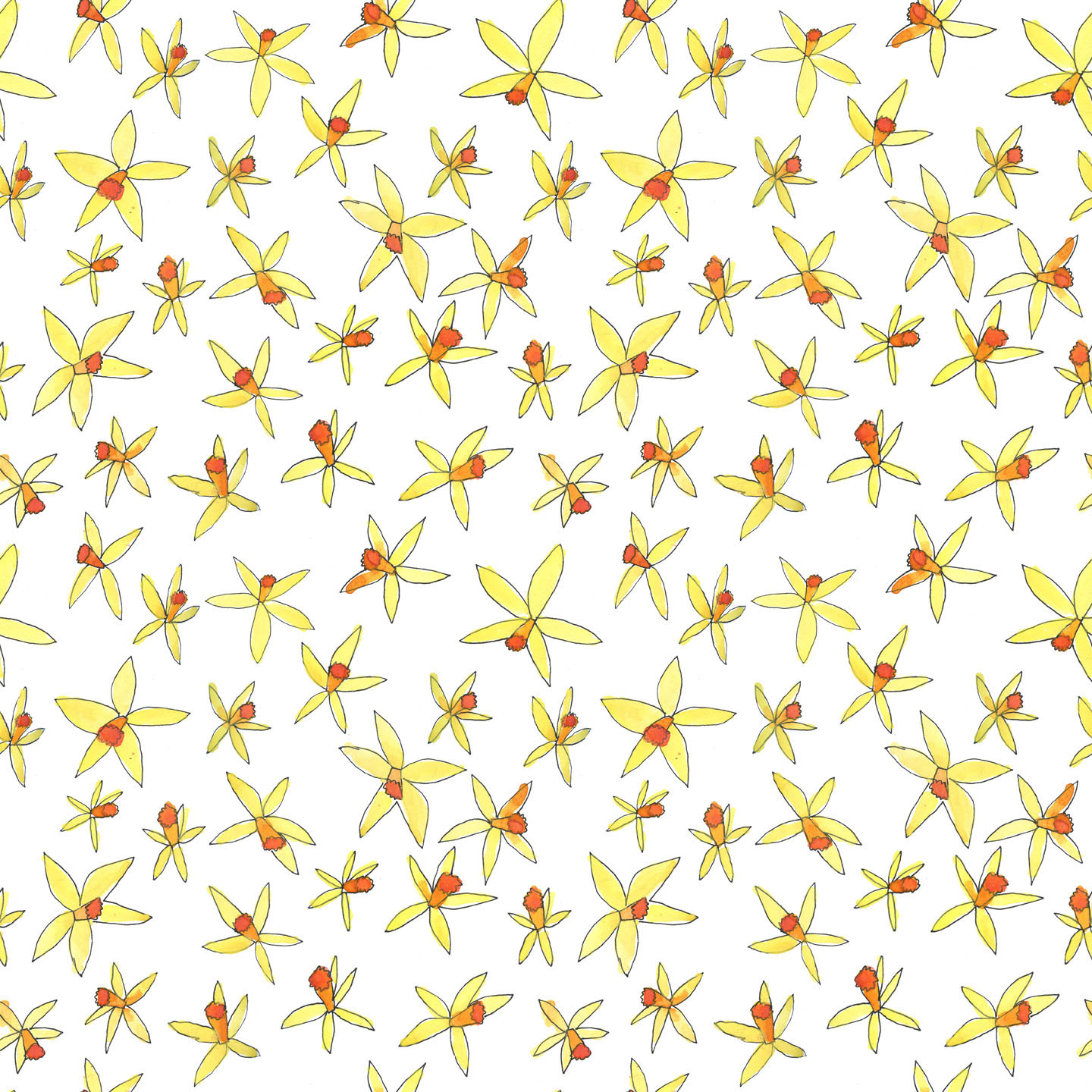 Daffodil Pattern