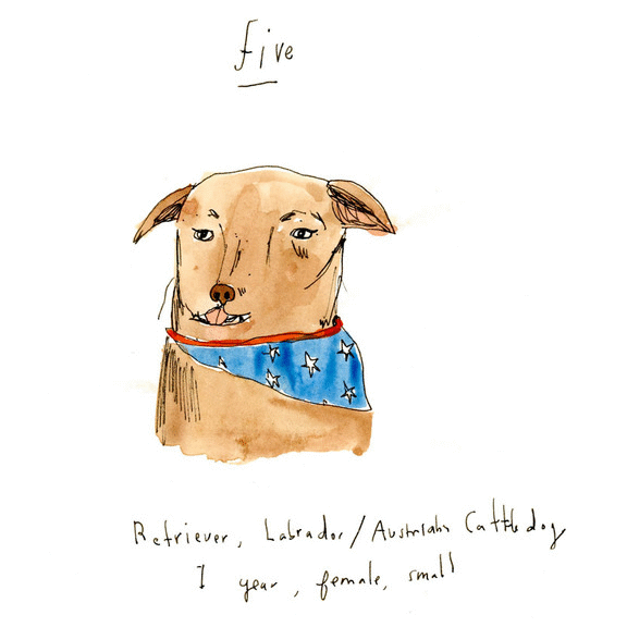 Elizabeth Graeber Gifs