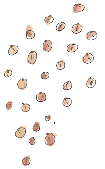 chickpeas.png