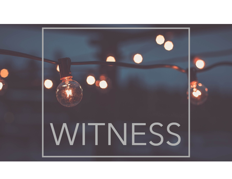 Witness - Week 1