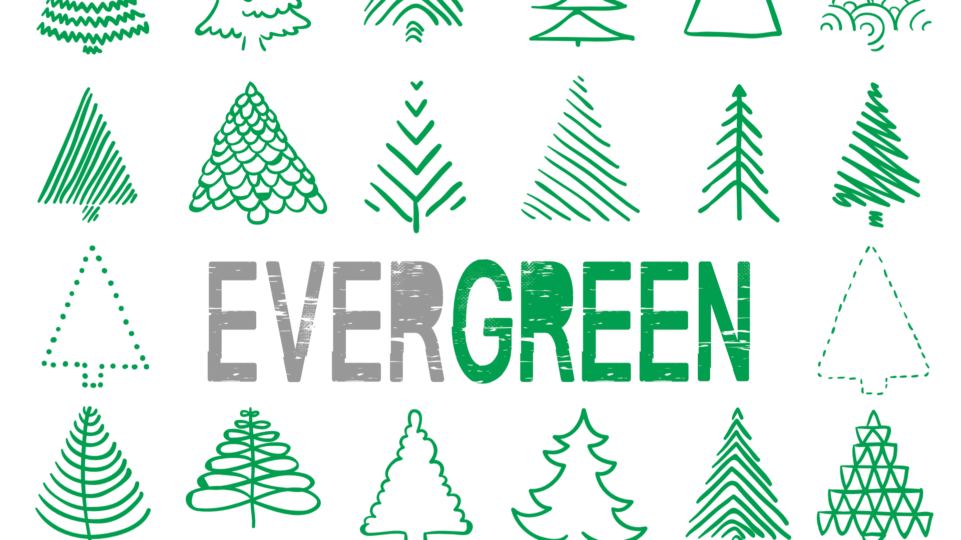 Evergreen - Week 2
