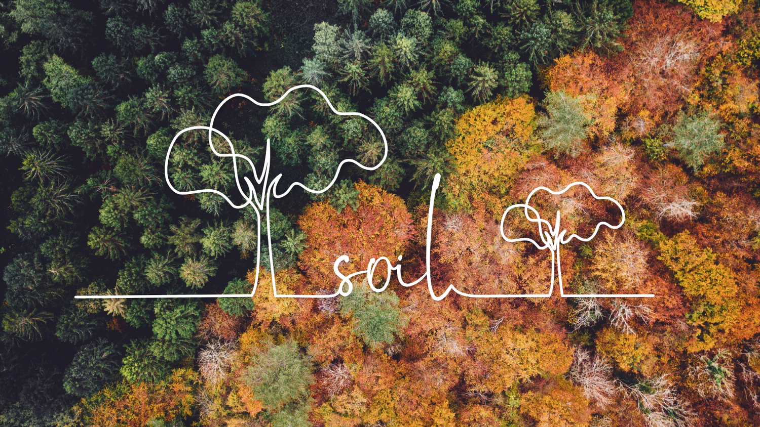 Soil episode artwork