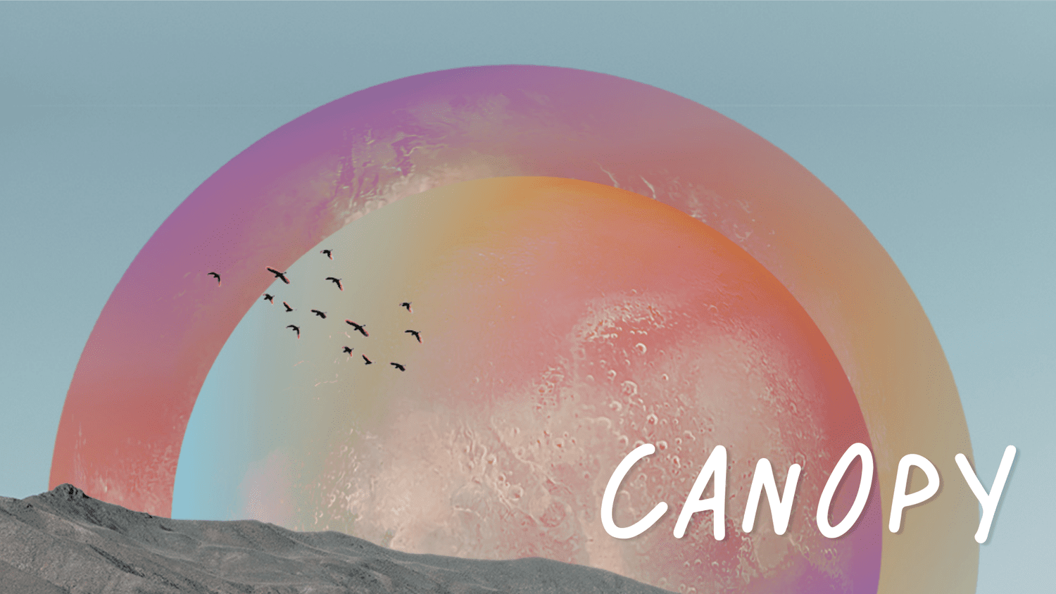 Canopy episode artwork