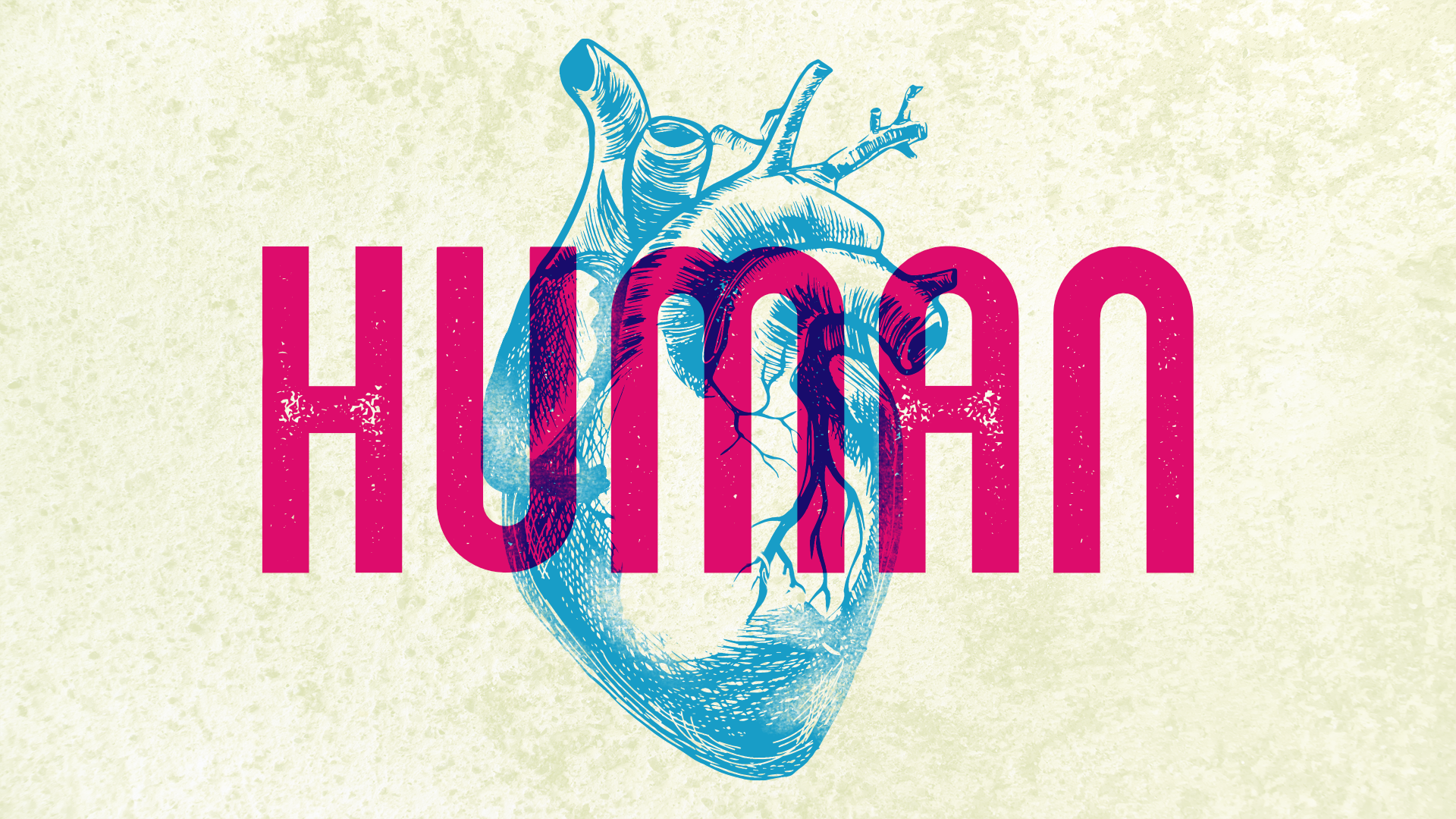 Human Logo.png