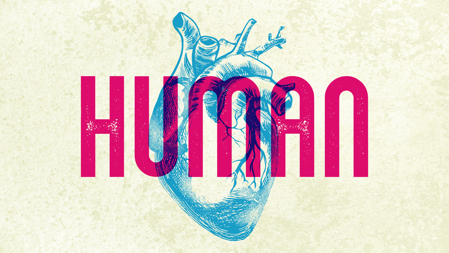 HUMAN episode artwork