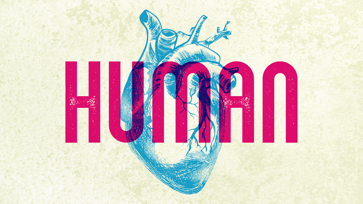 HUMAN episode artwork