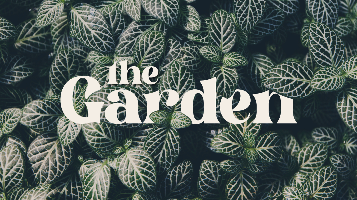 The Garden episode artwork