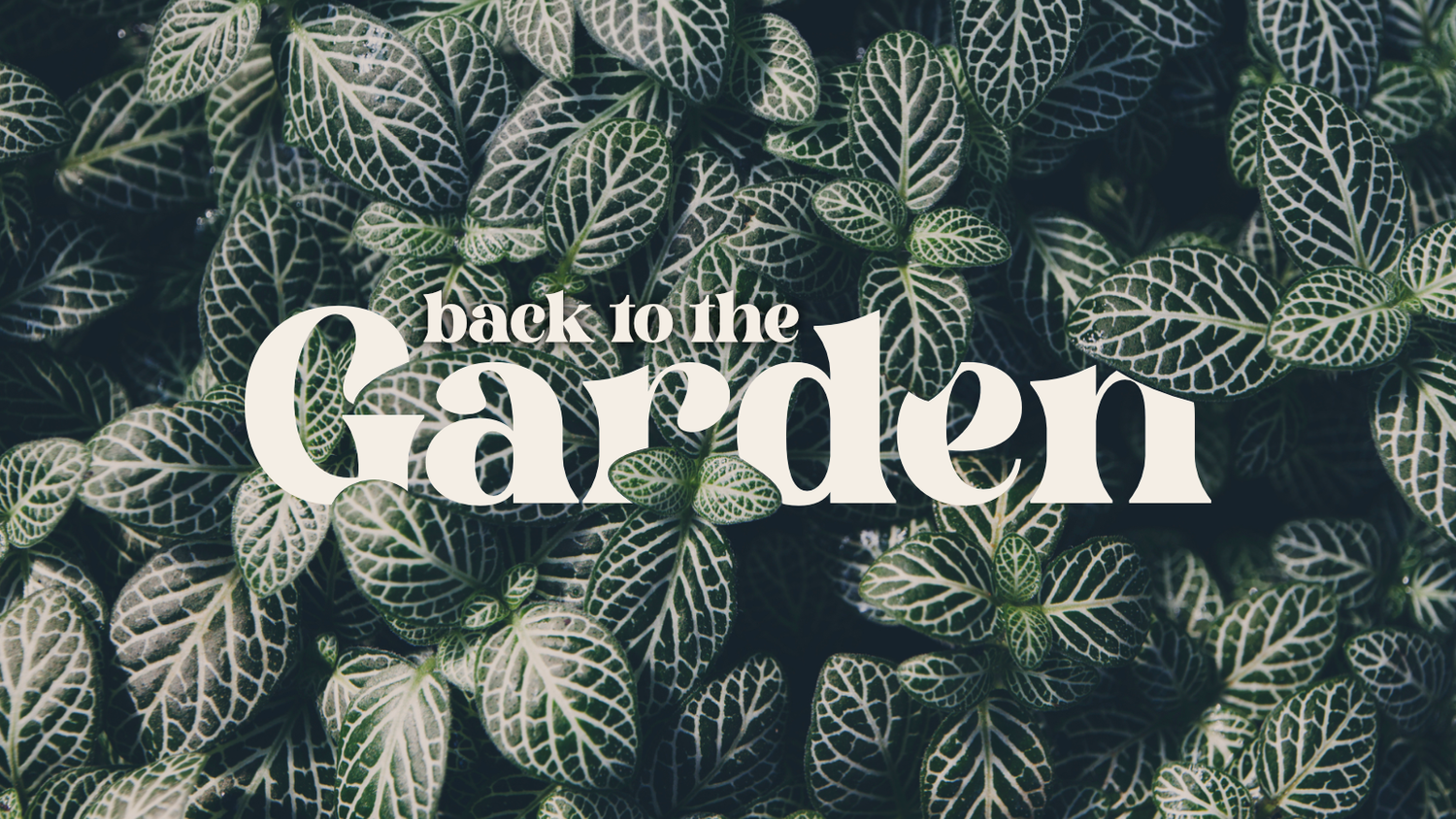 Back to the Garden week 4 // Creation episode artwork