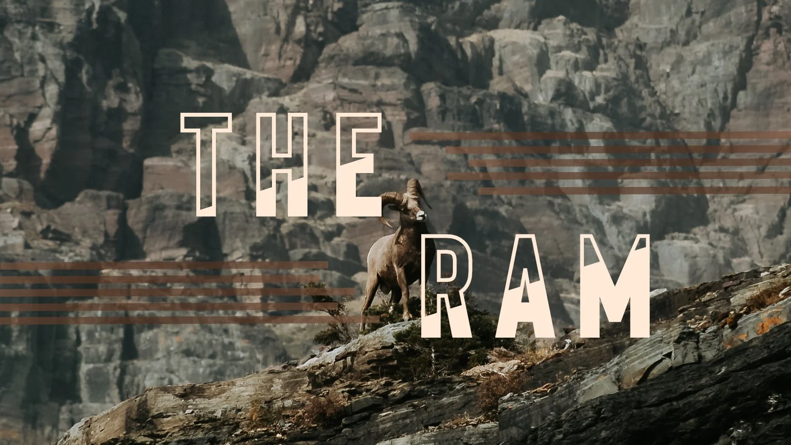 The Ram // Genesis 24 // A Wife for Isaac