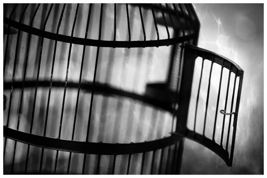fineartphotography_5.jpg