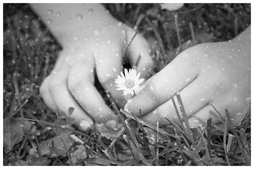 fineartphotography_1.jpg
