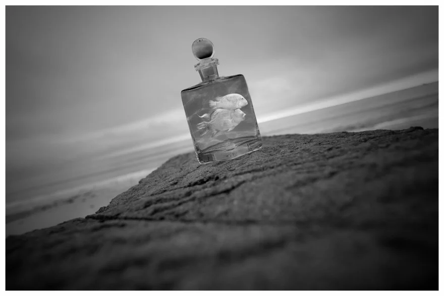 fineartphotography_3.jpg