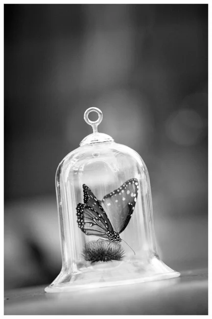 fineartphotography_10.jpg