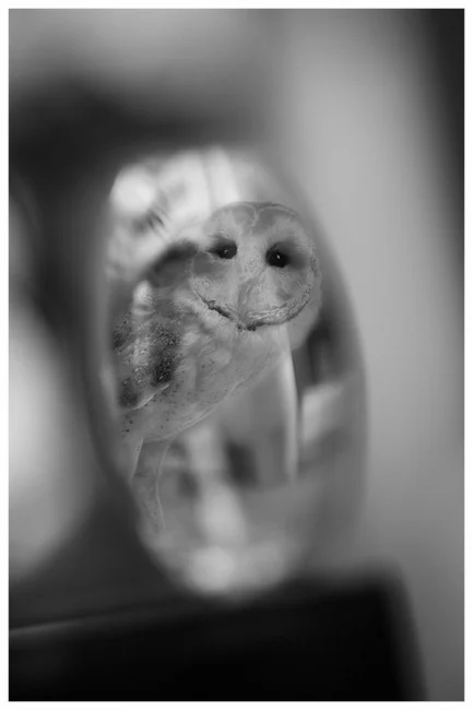 fineartphotography_15.jpg