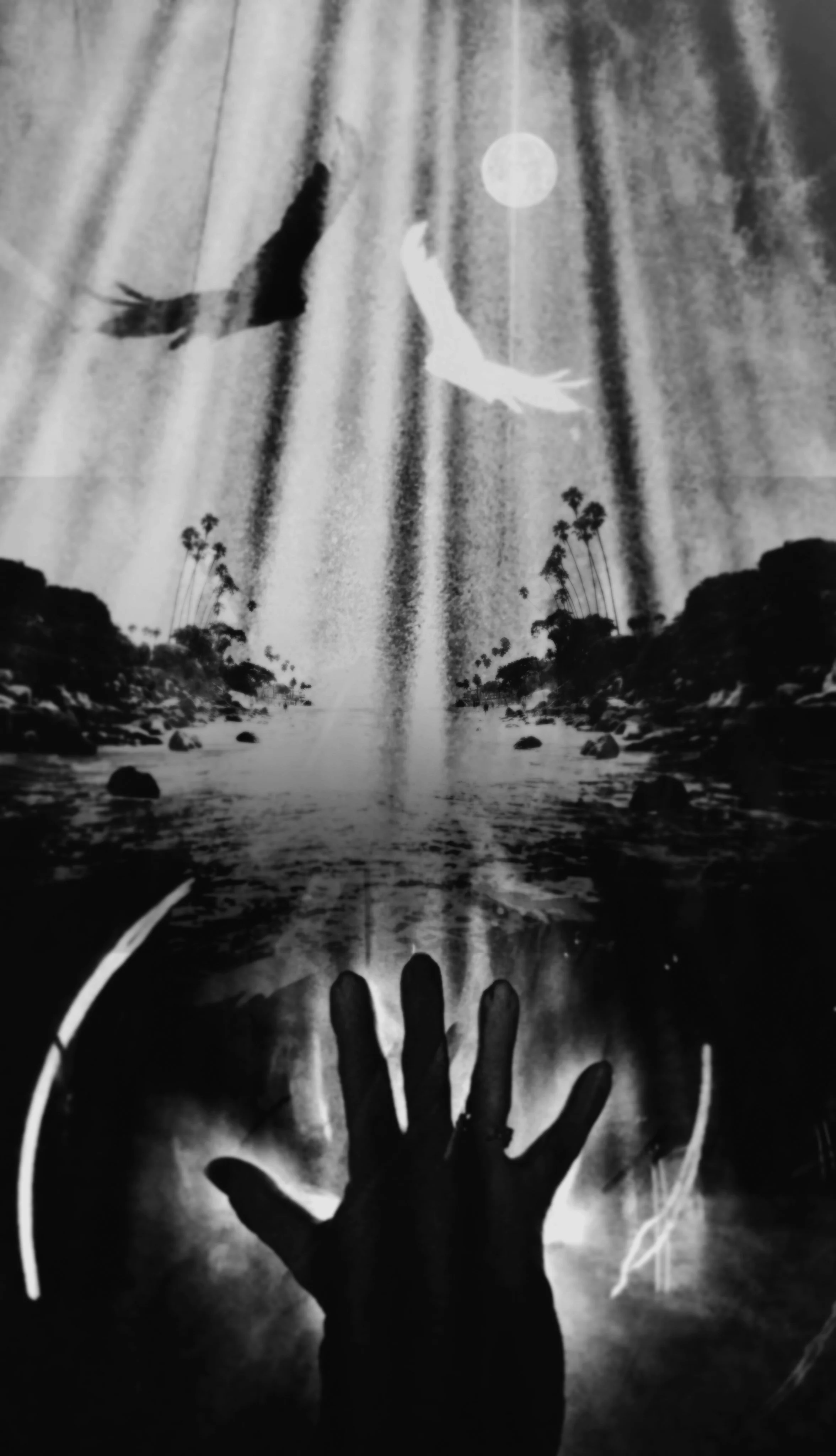 Fine Art Print: Release To The One (Black and White)
