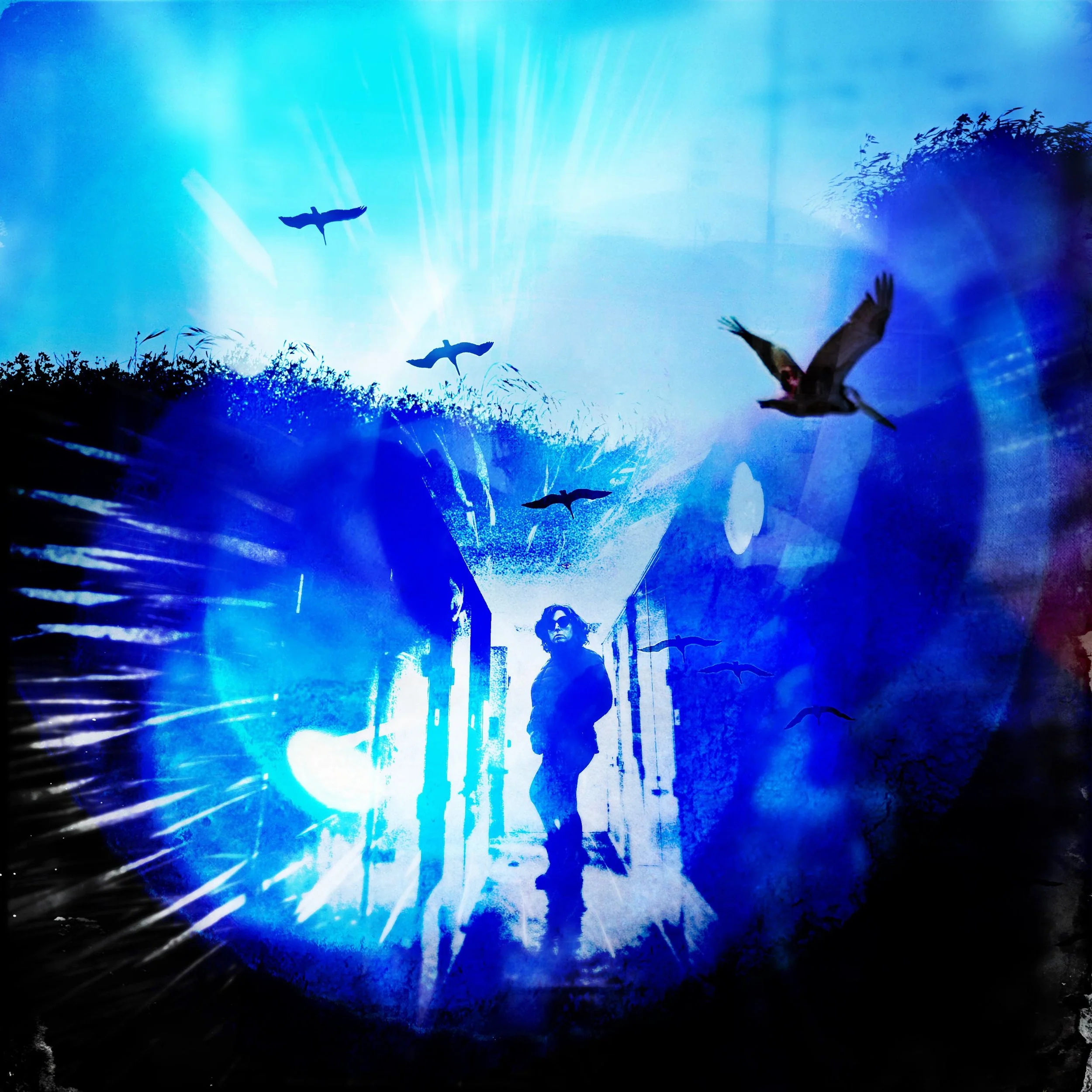 Fine Art Print: Release to Fly