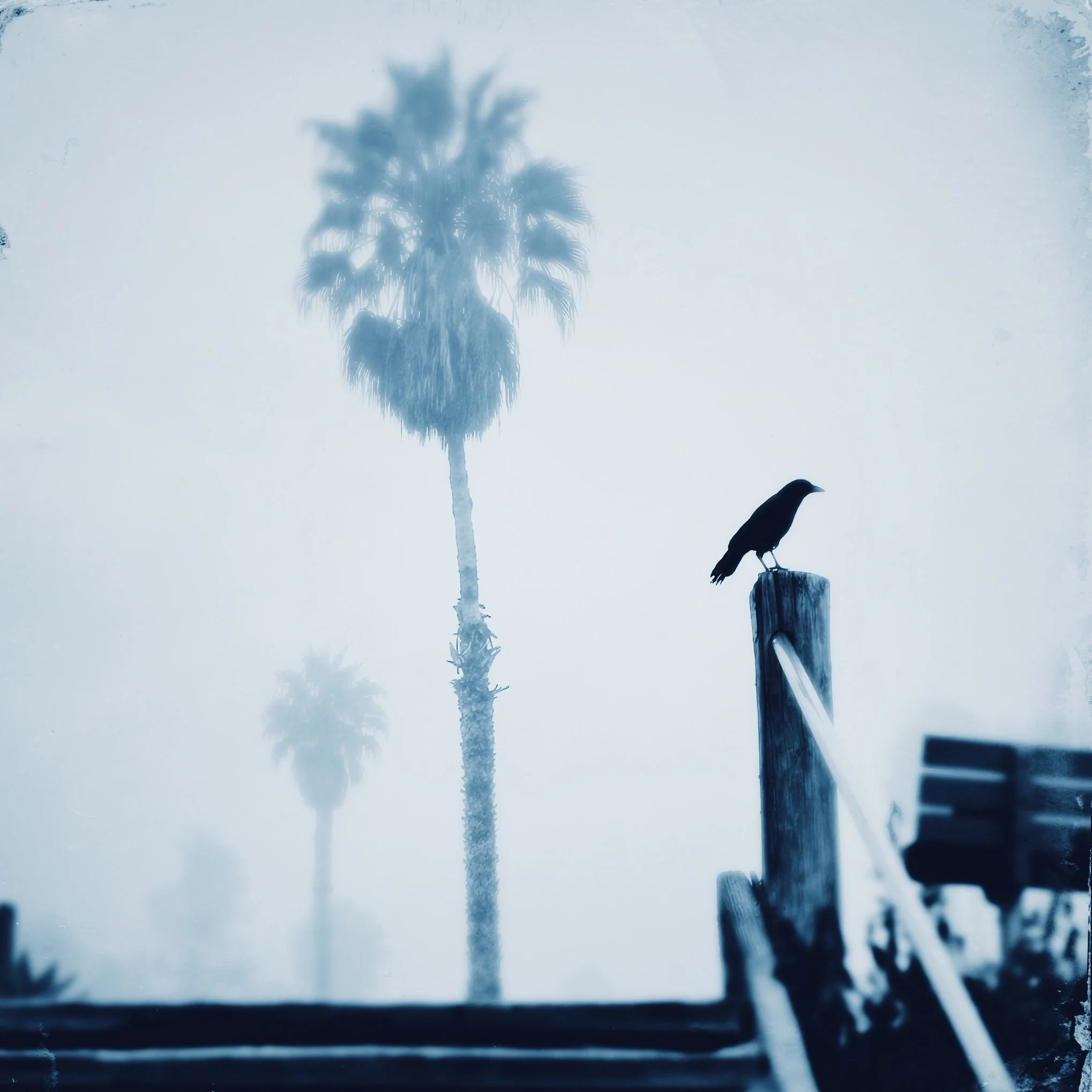 Fine Art Print: Watch Over Me