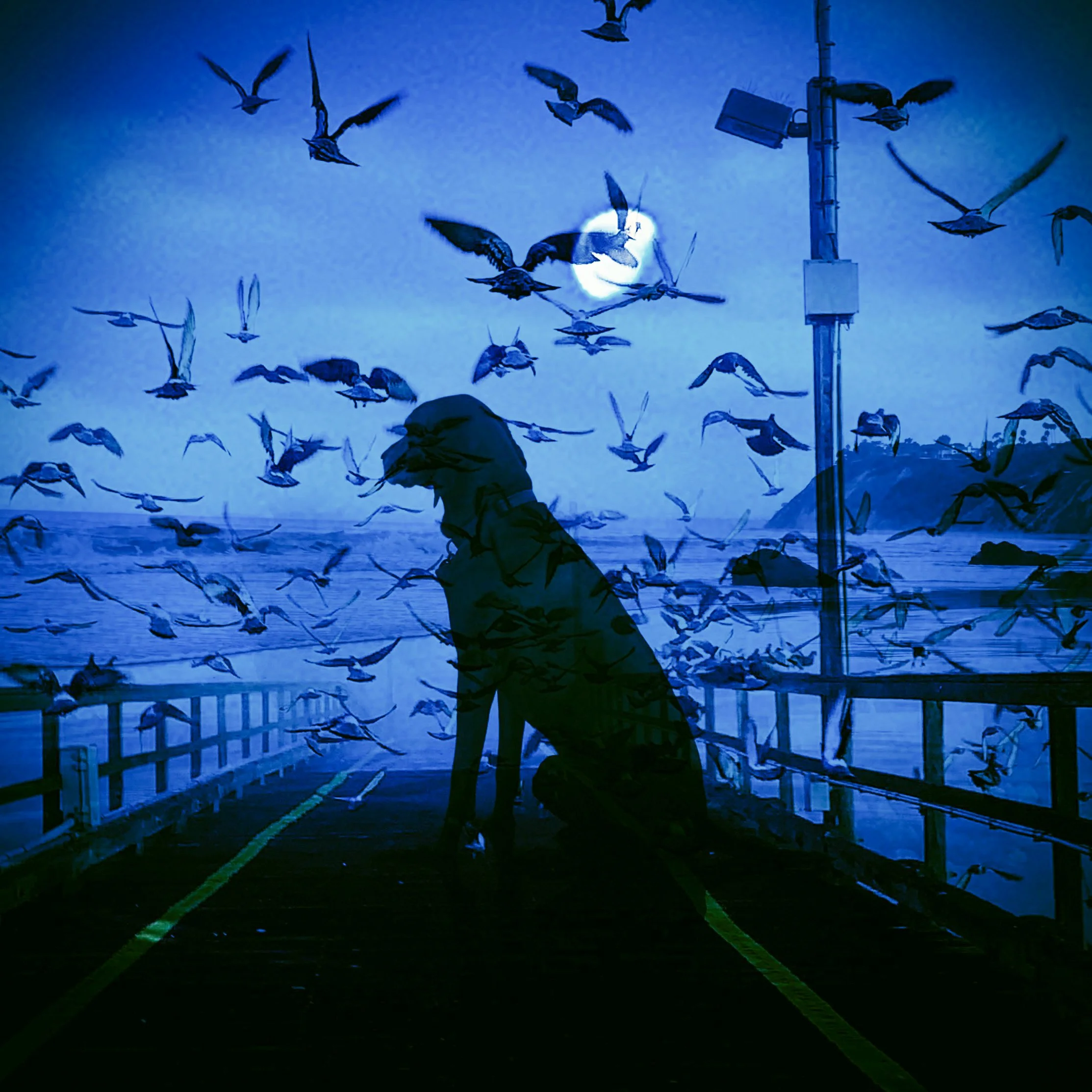 Fine Art Print:  Moonlight Walk on the Pier