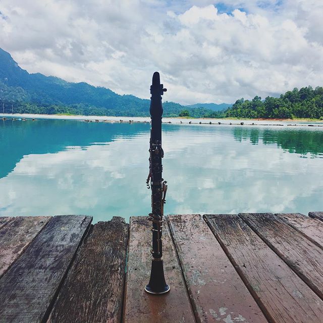 Where did music take you this summer? 🎶🌲🏖🎻Our team of musicians and entrepreneurs have a blast creating new projects, being teaching artists and working on our craft. Looking forward to sharing our music for you on a few short weeks! Stay tuned for concert updates .
.
.
.
.
#icoaorchestra #summermusic #summer #concerts #classicalmusic #classicalmusicians #nycmusic #startuporchestra #nonprofit #summertravel #workingholiday #nycmusicians #clarinet #lake #woodwind #musicinstruments