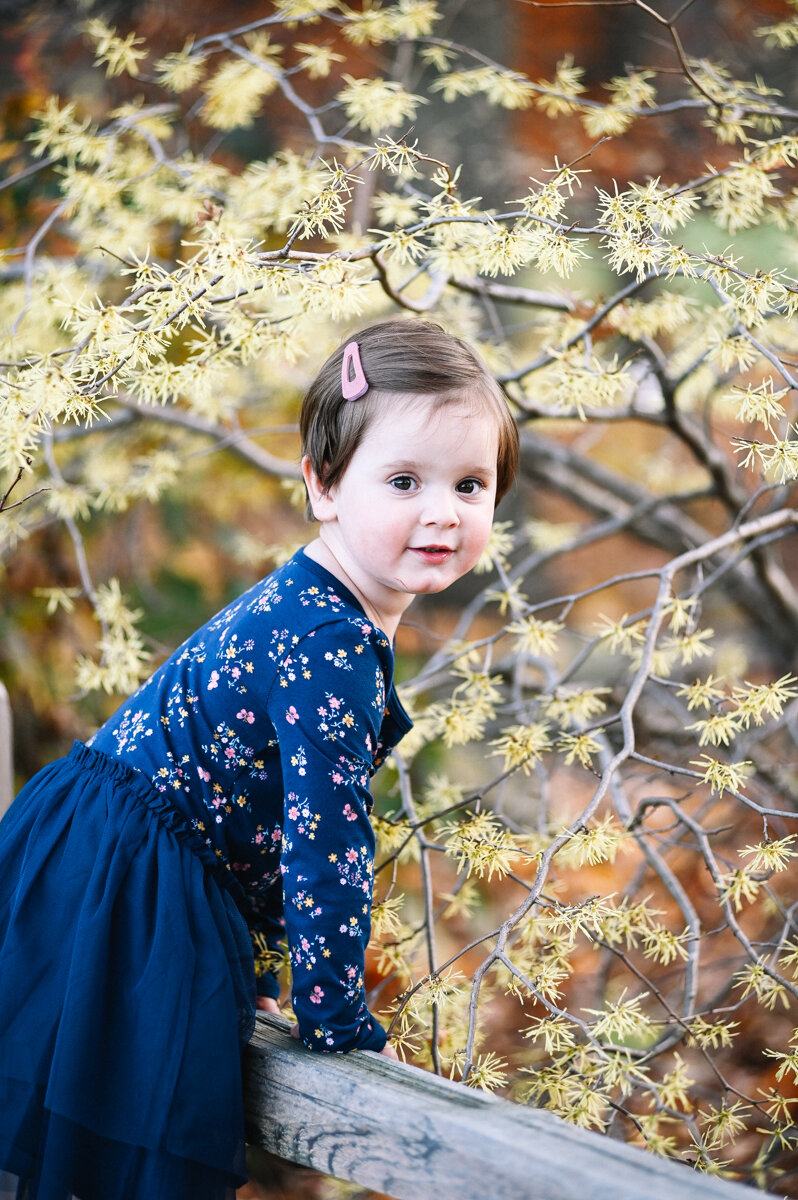 East_Lansing_Family_Portraits-1.jpg